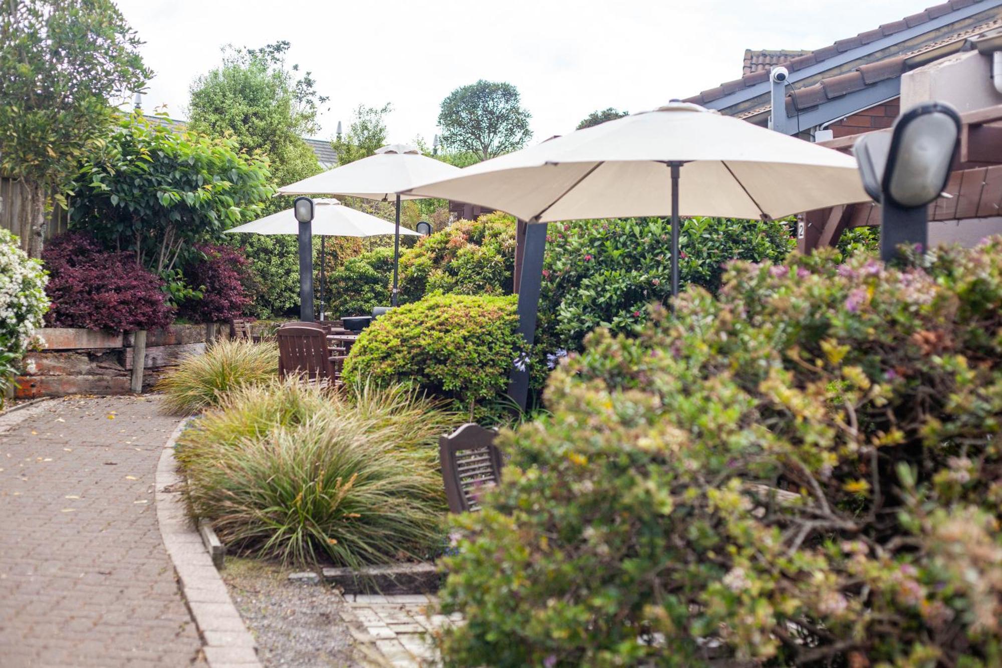 瀑布湖畔汽车旅馆 陶波 客房 照片 The garden at The Old Red Lion